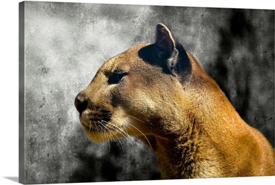 Cougar I