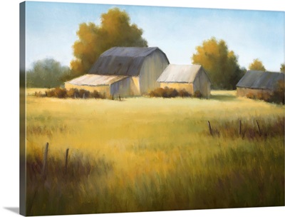 Country Meadow I