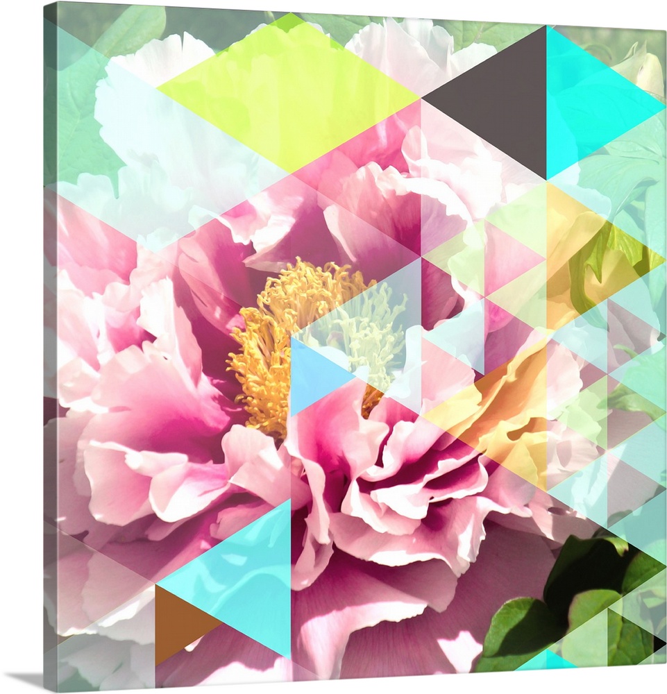 Peonies embellished with a triangular geometric design.