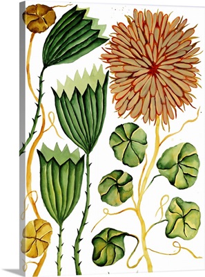 Dahlia Green Flute