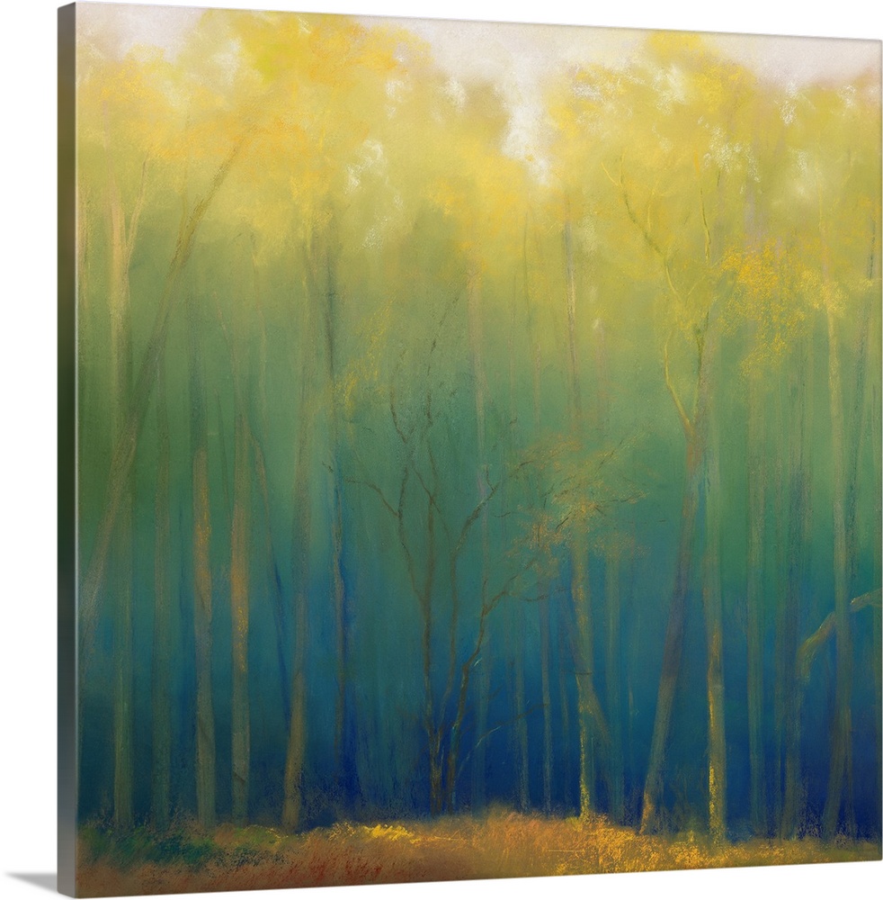 A square contemporary painting of a forest filled with soft light and slender, vertical trees.