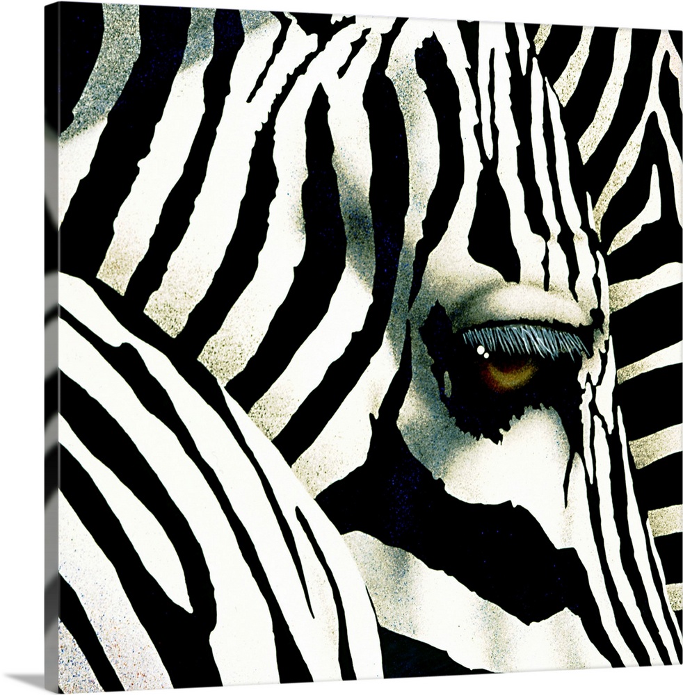 This is a very up close view of a zebra's head and eye with other parts of zebras shown in front of it's head and behind it.