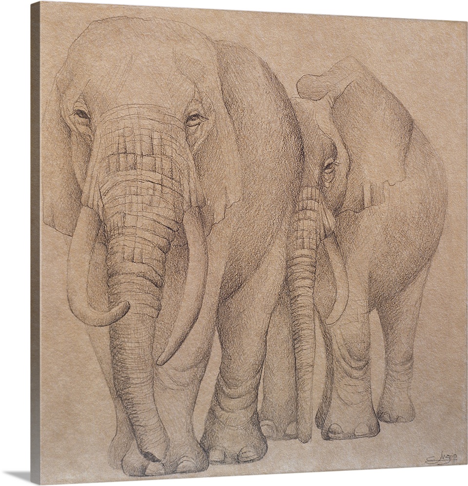 Elefantes en el Papel Dos