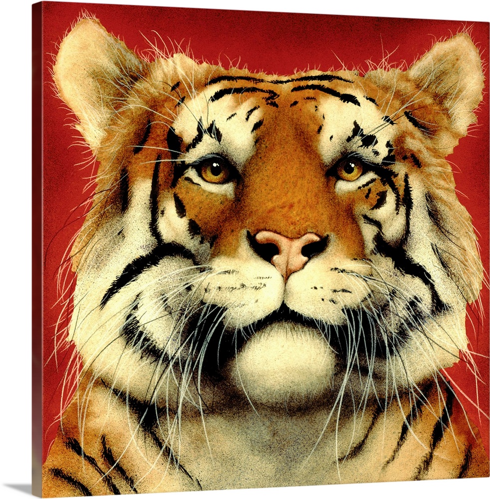 Contemporary artwork of a tiger portrait against a red background.