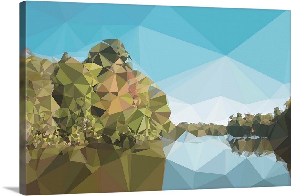 Geometric landscape of a river lined with trees.