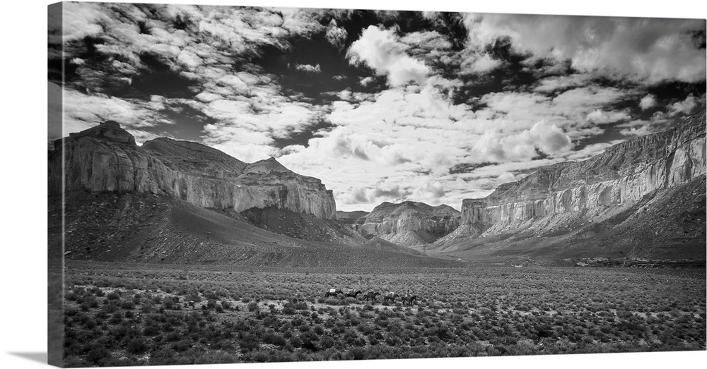 Grand Canyon Packtrain