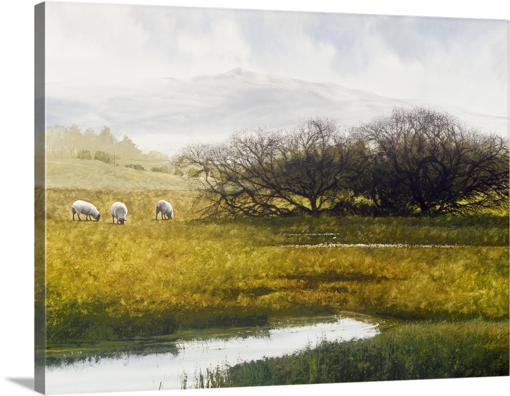 Contemporary painting of a countryside field with a river flowing through the middle and three sheep grazing on the side.
