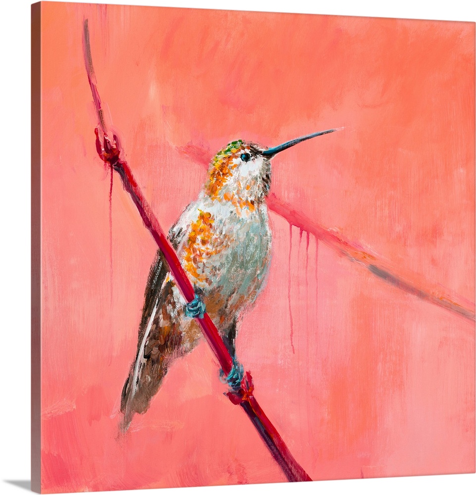 Details about   Hummingbird Wings Wild Life 15181 Canvas Print Wall Art 
