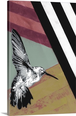 Hummingbird - Recolor