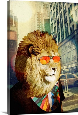 King Lion of the Urban Jungle