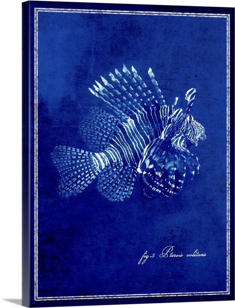 Marine Collection IV - Lionfish