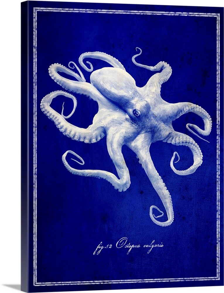 Octopus Wall Art, Canvas Prints, Framed Prints, Wall Peels Great Big