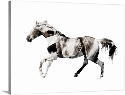 Painted Horses D