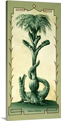Palmus Arigatriu