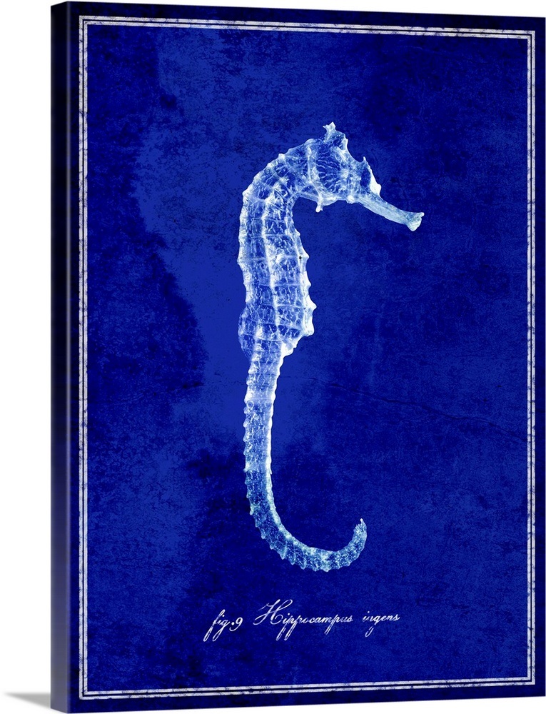 Seahorse Wall Art, Canvas Prints, Framed Prints, Wall Peels Great Big