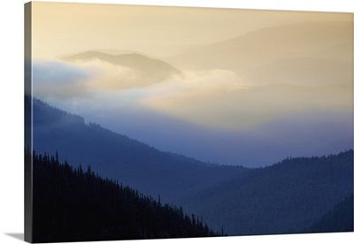 Sunrise and Fog