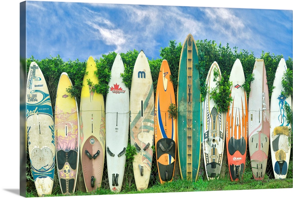 Several surfboards with various designs standing in a row.