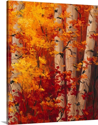 The Magnificent Season of Autumn C