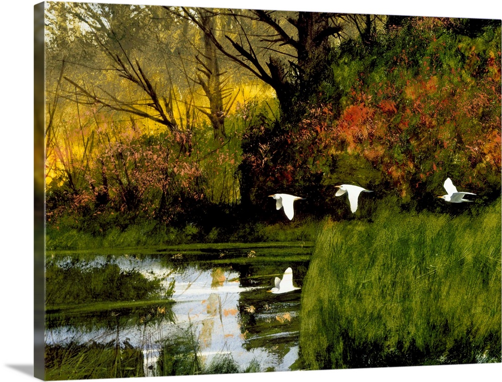 Contemporary painting of three egrets flying over lush wetlands.