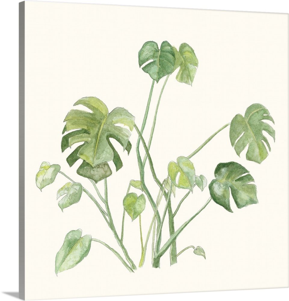 Square watercolor painting of tropical leaves on an off white background.
