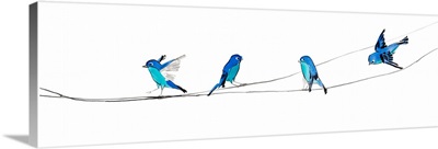 Watercolor Birds 2