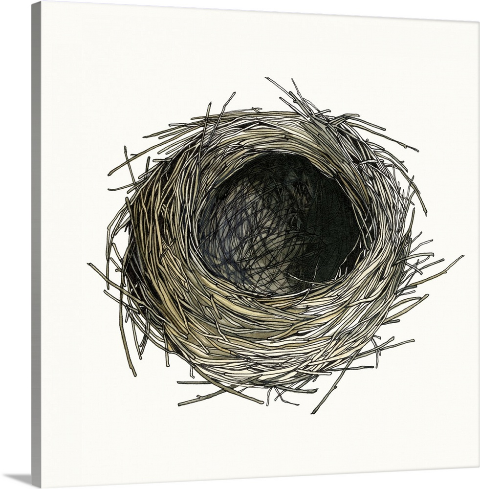 Contemporary watercolor painting of a birds nest against a white background.