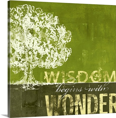Wisdom Begins with Wonder