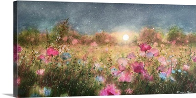 Auroral Spring In Sapphire 2025