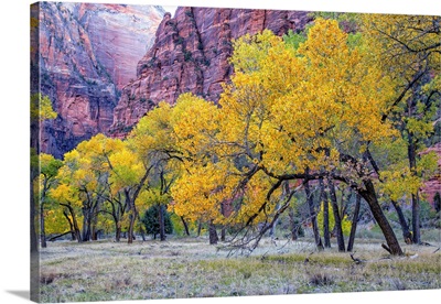 Autumn At The Grotto