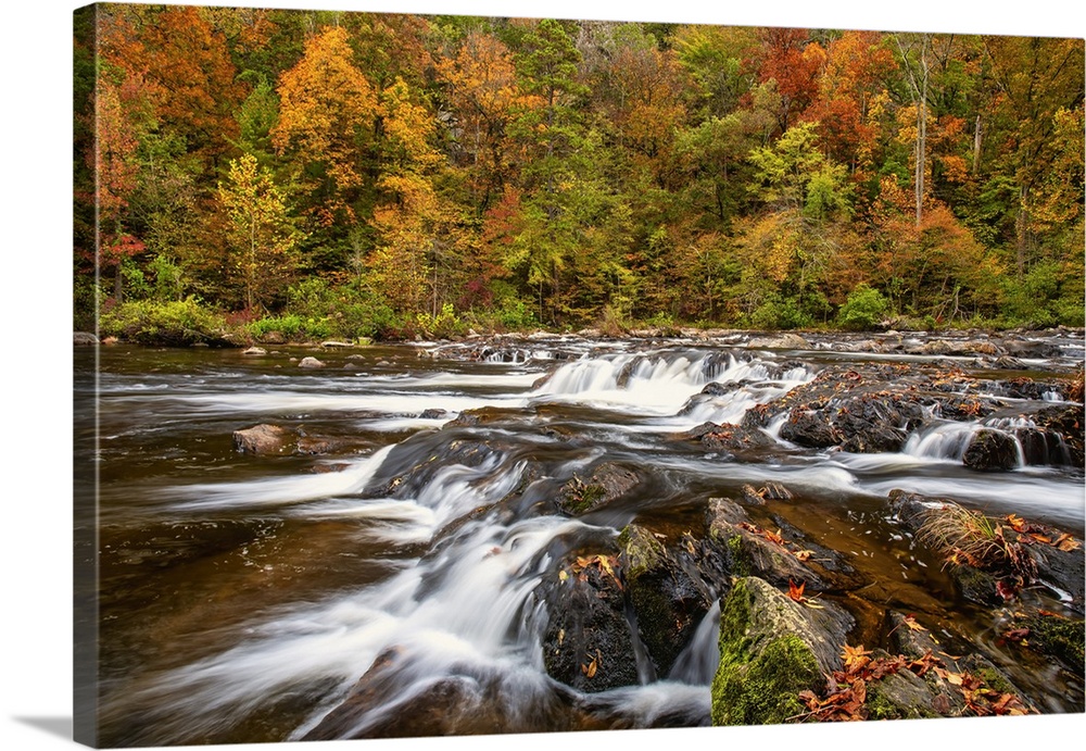 Autumn colors paint the banks along Tennessee's Tellico River, one of the last remaining true wild rivers in the lower App...