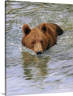 Bear Water