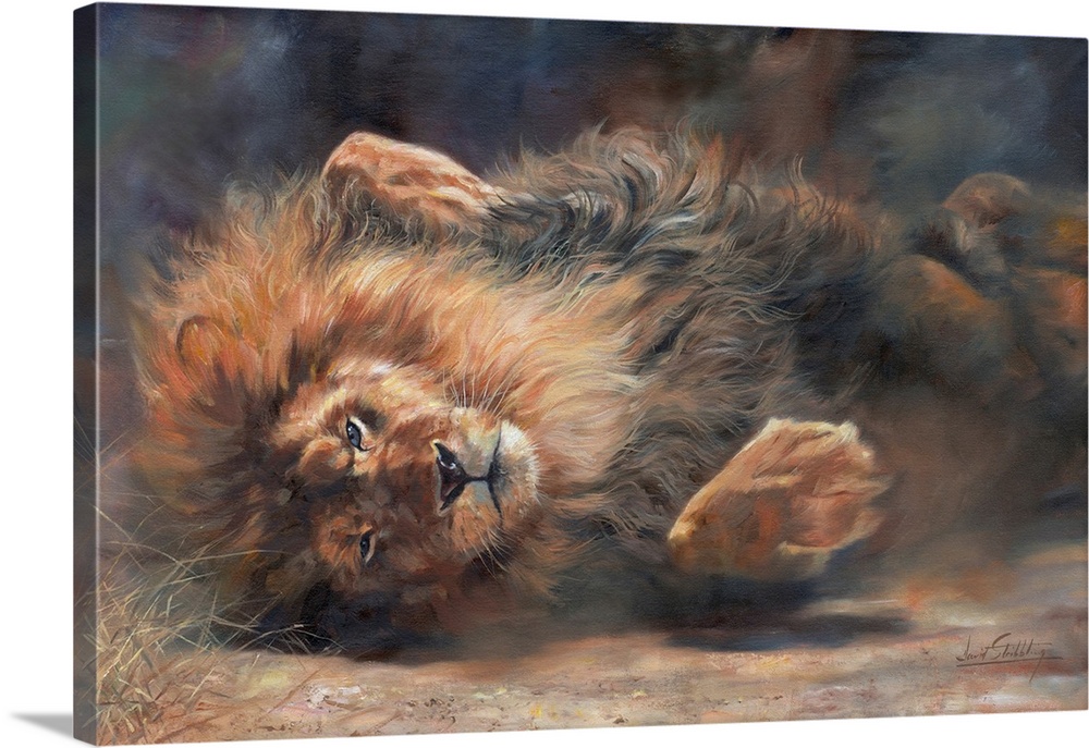 Lion having a dust bath. Originally oil on canvas.