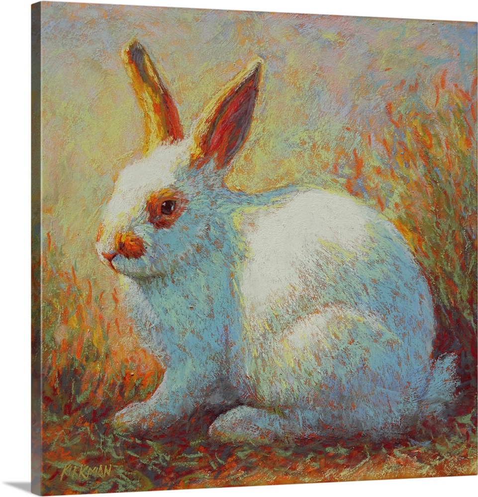 Blana Bun