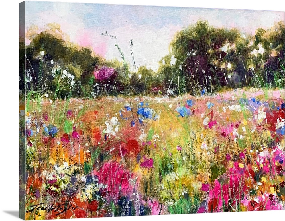 Colour Awakening 2025