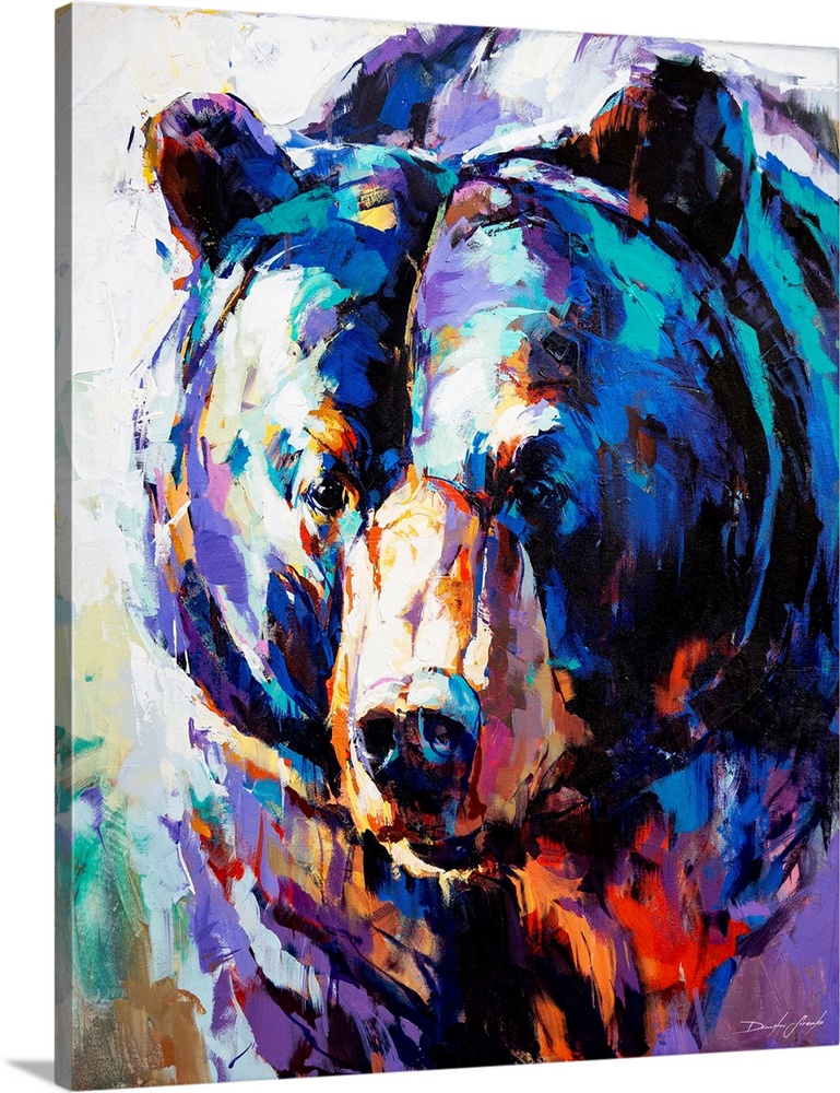 Colours Of Black Bear
