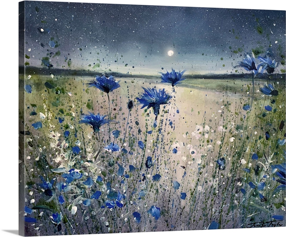Cornflowers And The Moon No 1