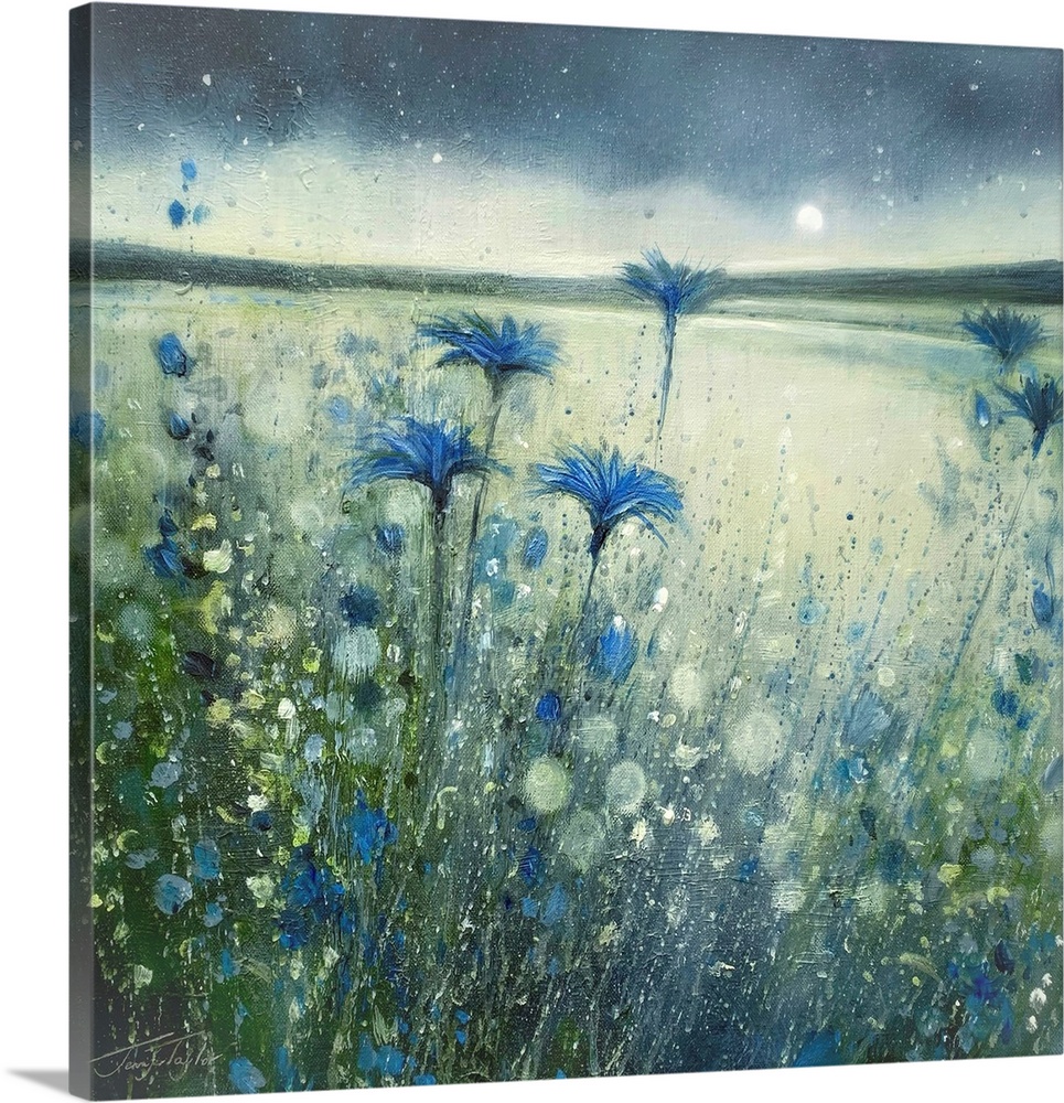 Cornflowers Under The Moon No 3