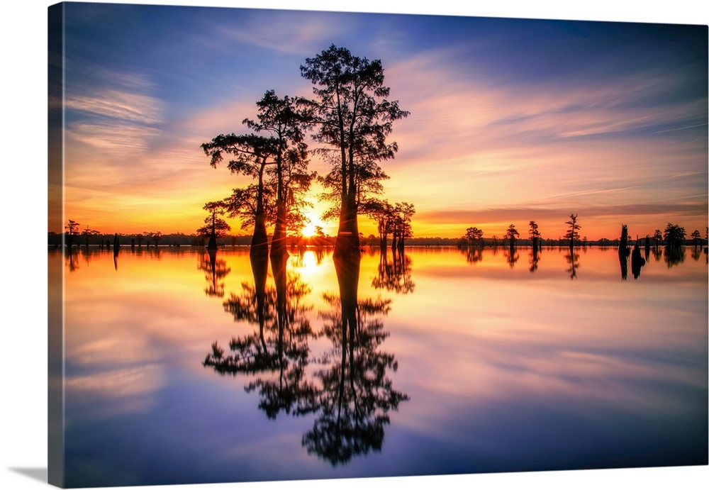 The sun tops the horizon and lights up the sky over Louisiana's beautiful Henderson Swamp.