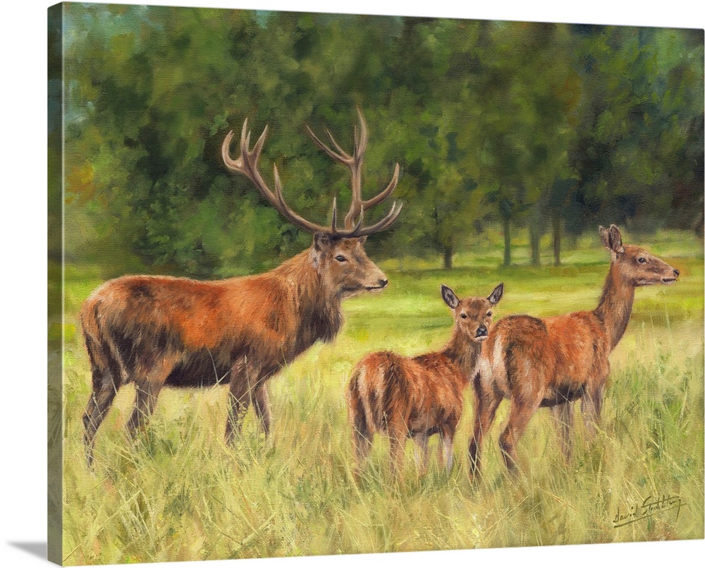 Red Deer Family, originally oil on canvas