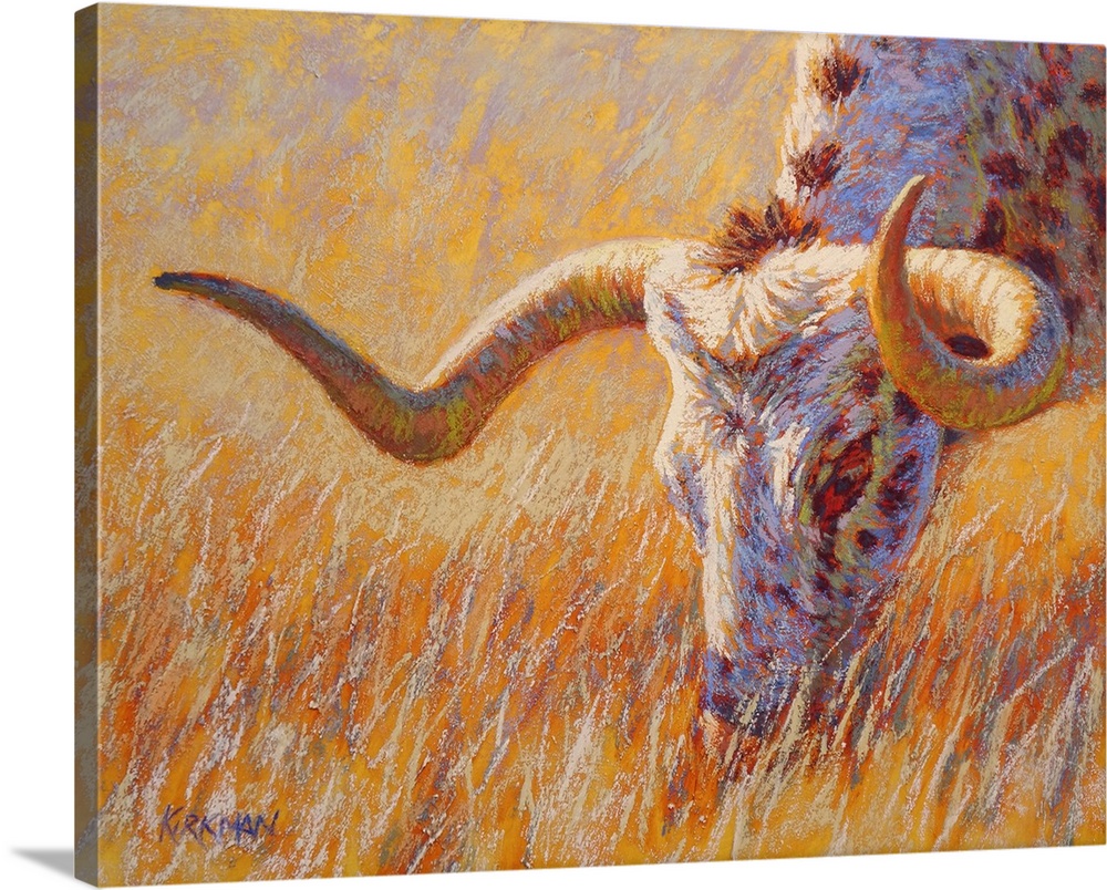 Grazing Longhorn II
