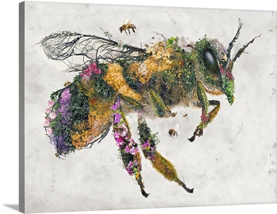 Honeybee