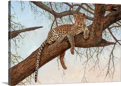 Leopard In Tree