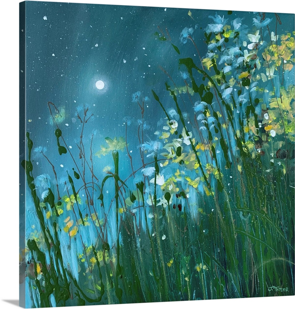 Midnight Dream Teal Green