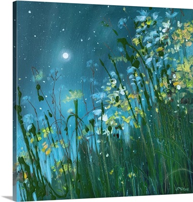 Midnight Dream Teal Green