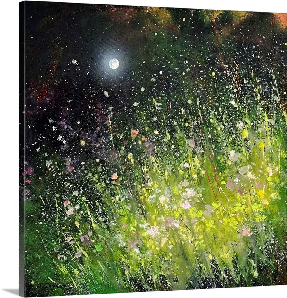 Midnight Garden Buttercup Blooms