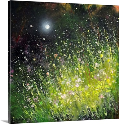 Midnight Garden Buttercup Blooms