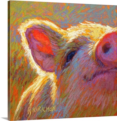 Mini Piglet II