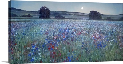 Moon Garden Sapphire