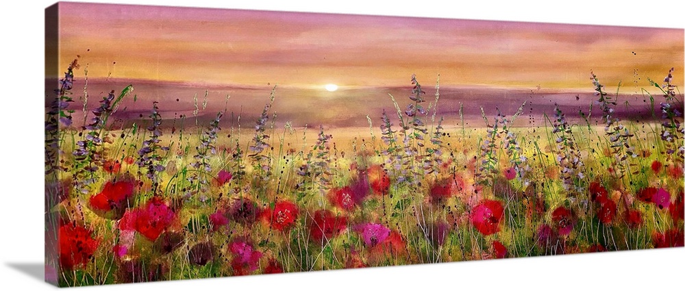 Morning Poppy Light 2025