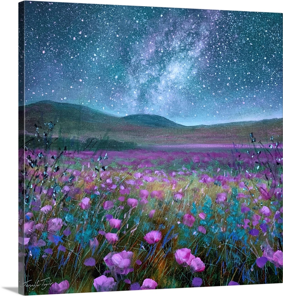 Night Under The Stars